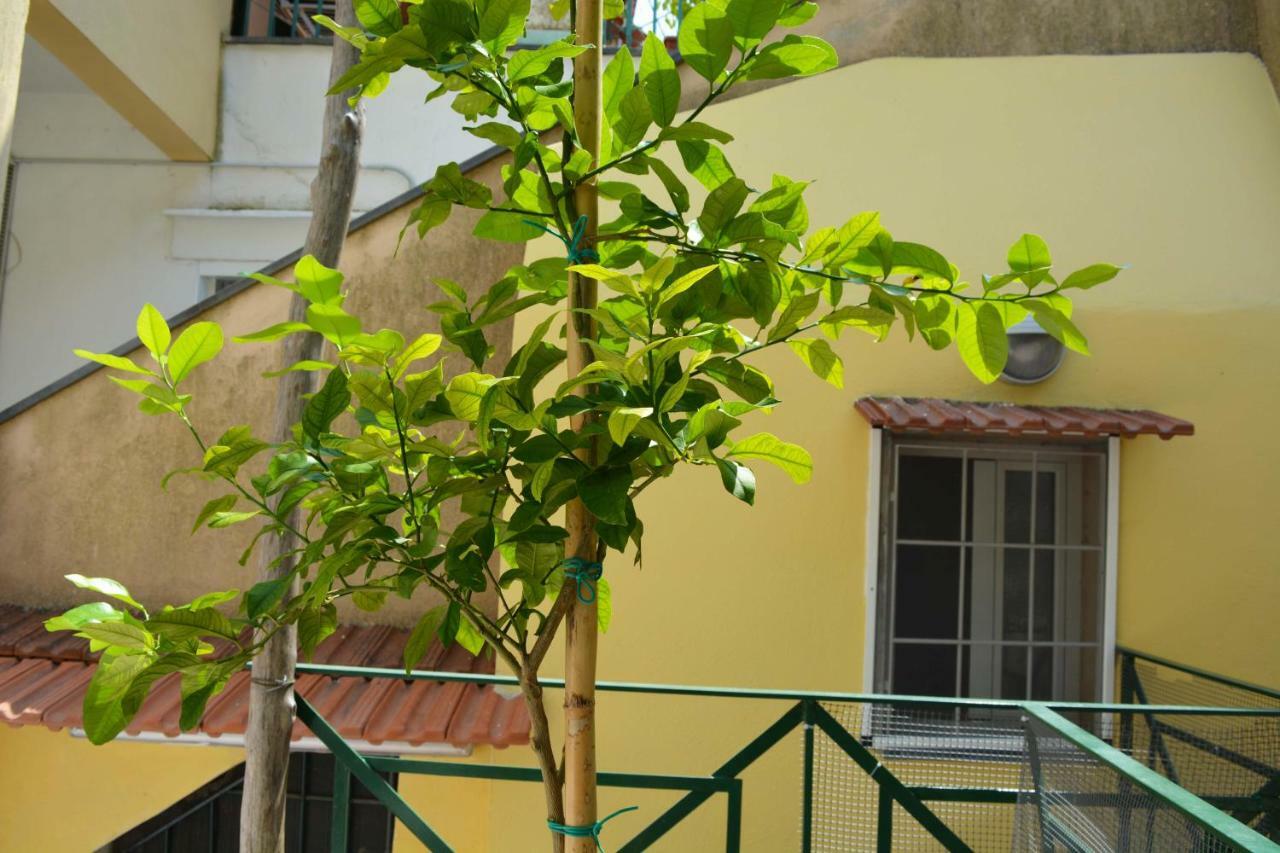 La Bomboniera Villa Maiori Ngoại thất bức ảnh