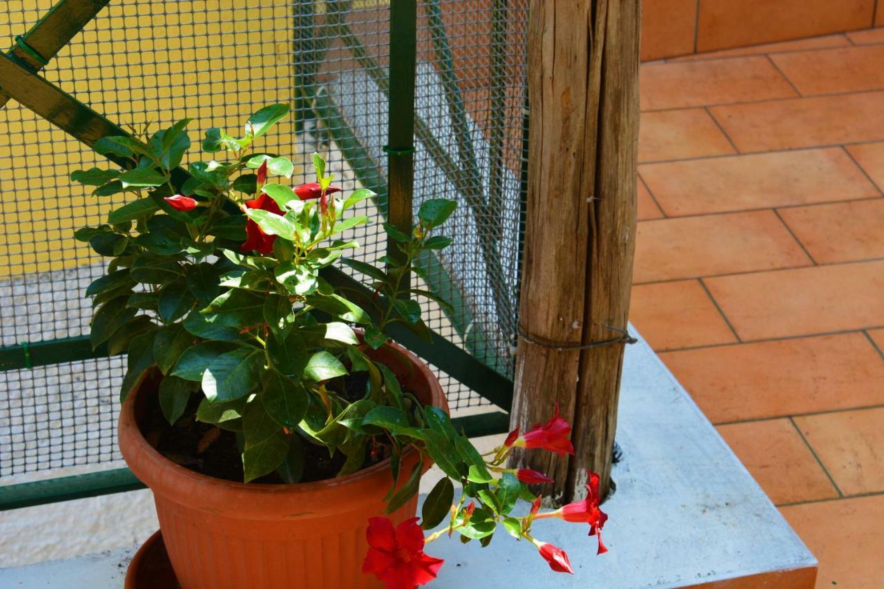 La Bomboniera Villa Maiori Ngoại thất bức ảnh