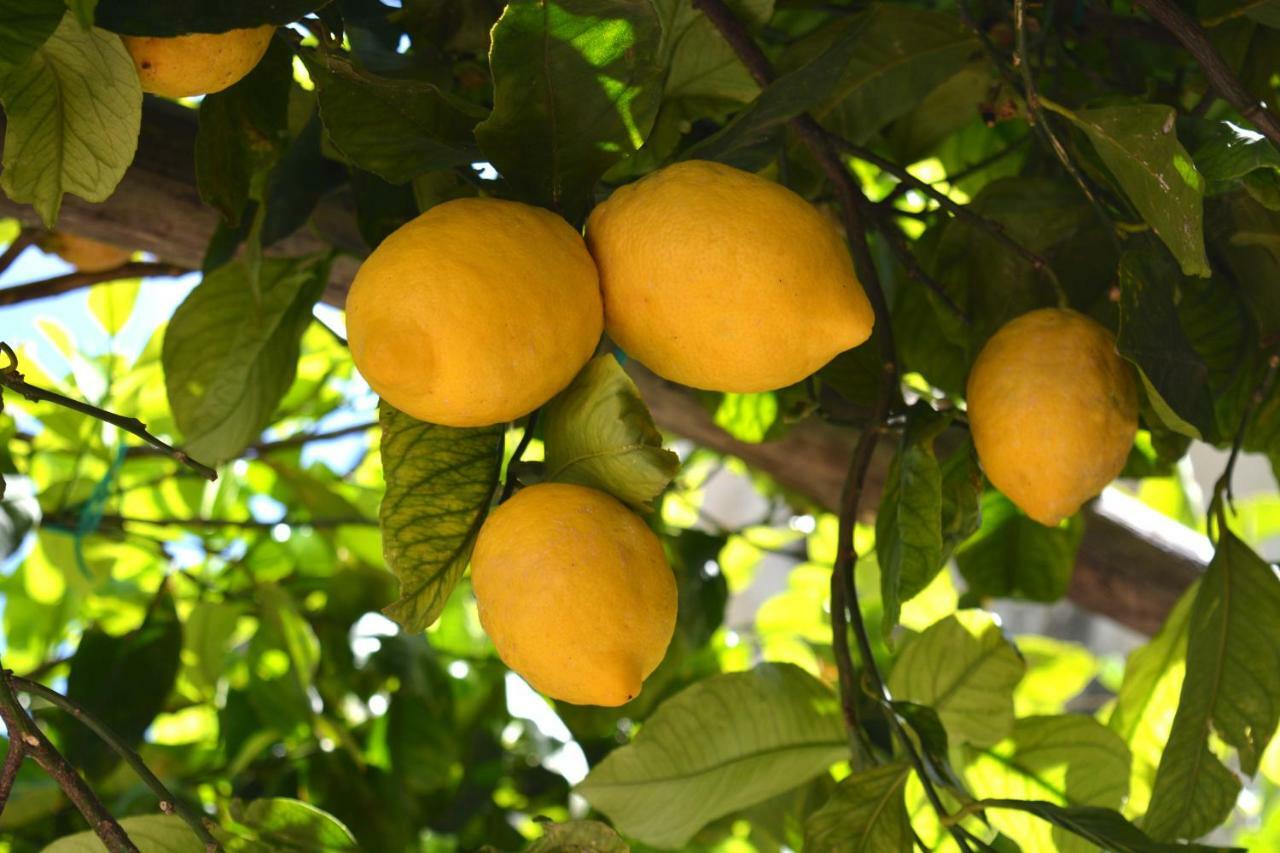 La Bomboniera Villa Maiori Ngoại thất bức ảnh